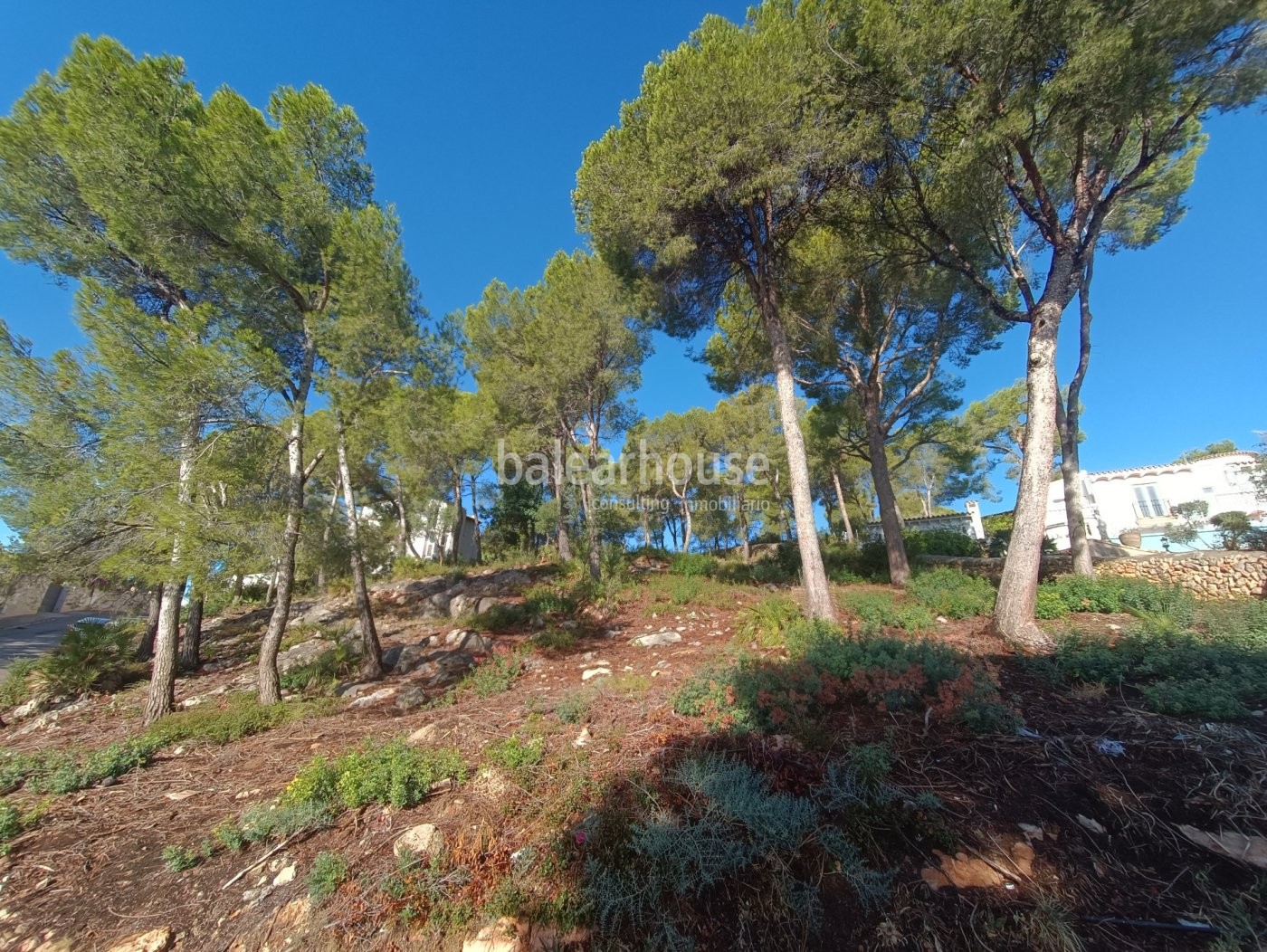 Plot with luxury villa project with sea views in Puerto de Andratx