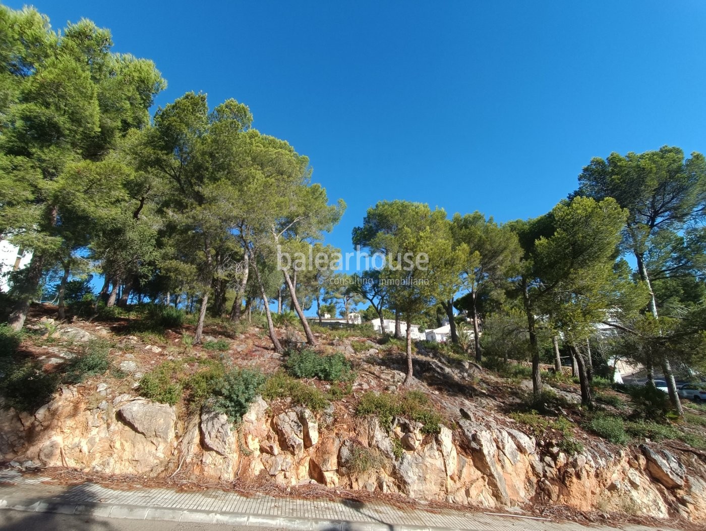 Plot with luxury villa project with sea views in Puerto de Andratx