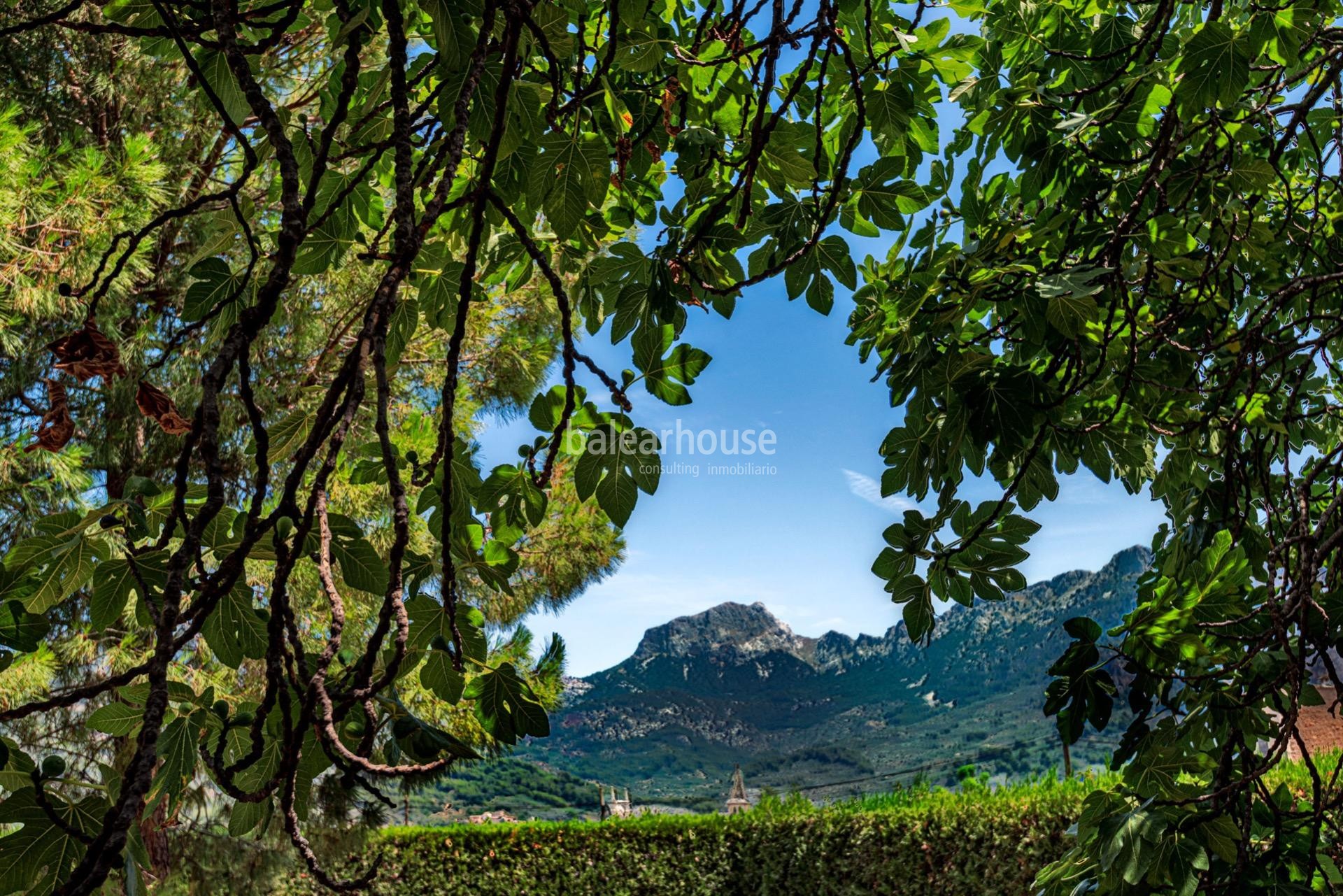 Stunning traditional house in Sóller with magnificent views of the Tramuntana and tourist license