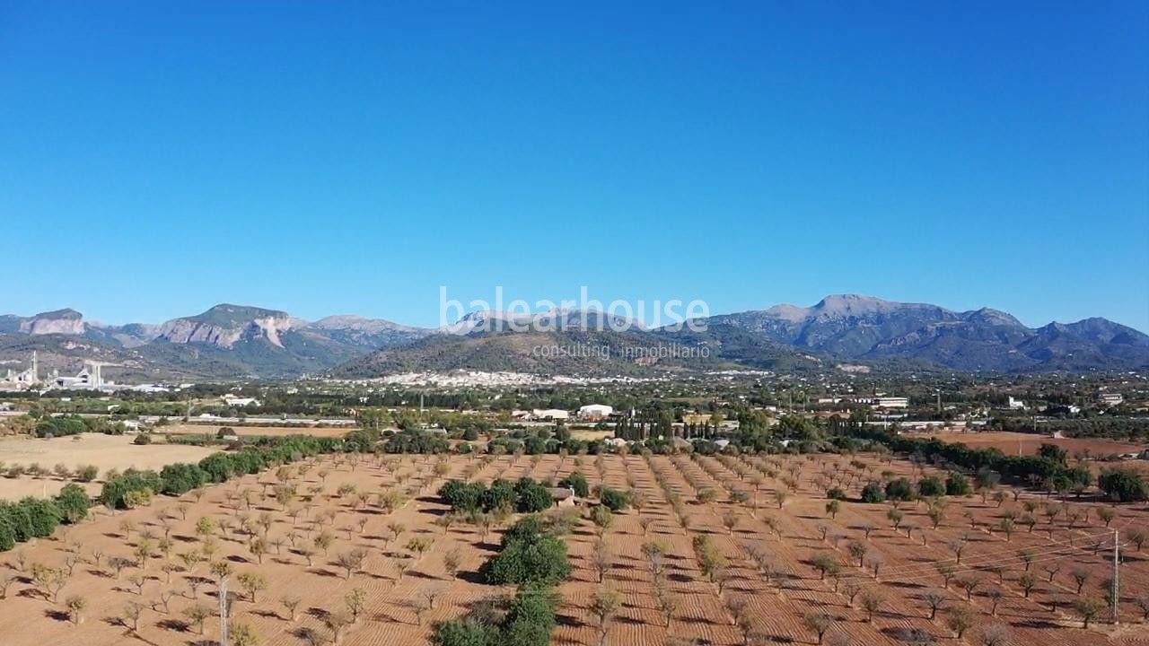 Excellent new build finca on a large plot with mountain views, and own vineyard