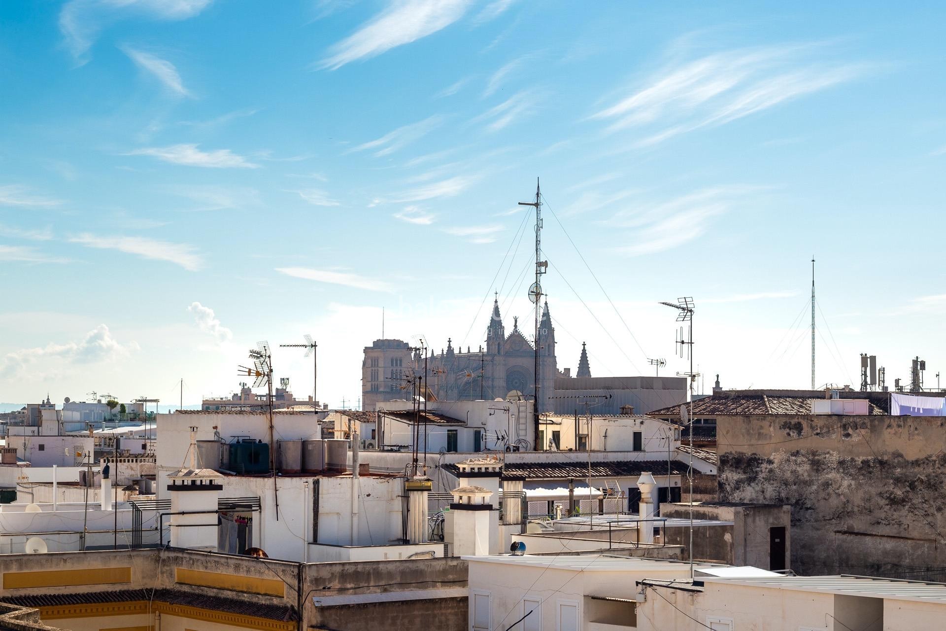 Moderne große Wohnung vor kurzem renoviert mit Blick auf den gesamten Paseo Mallorca