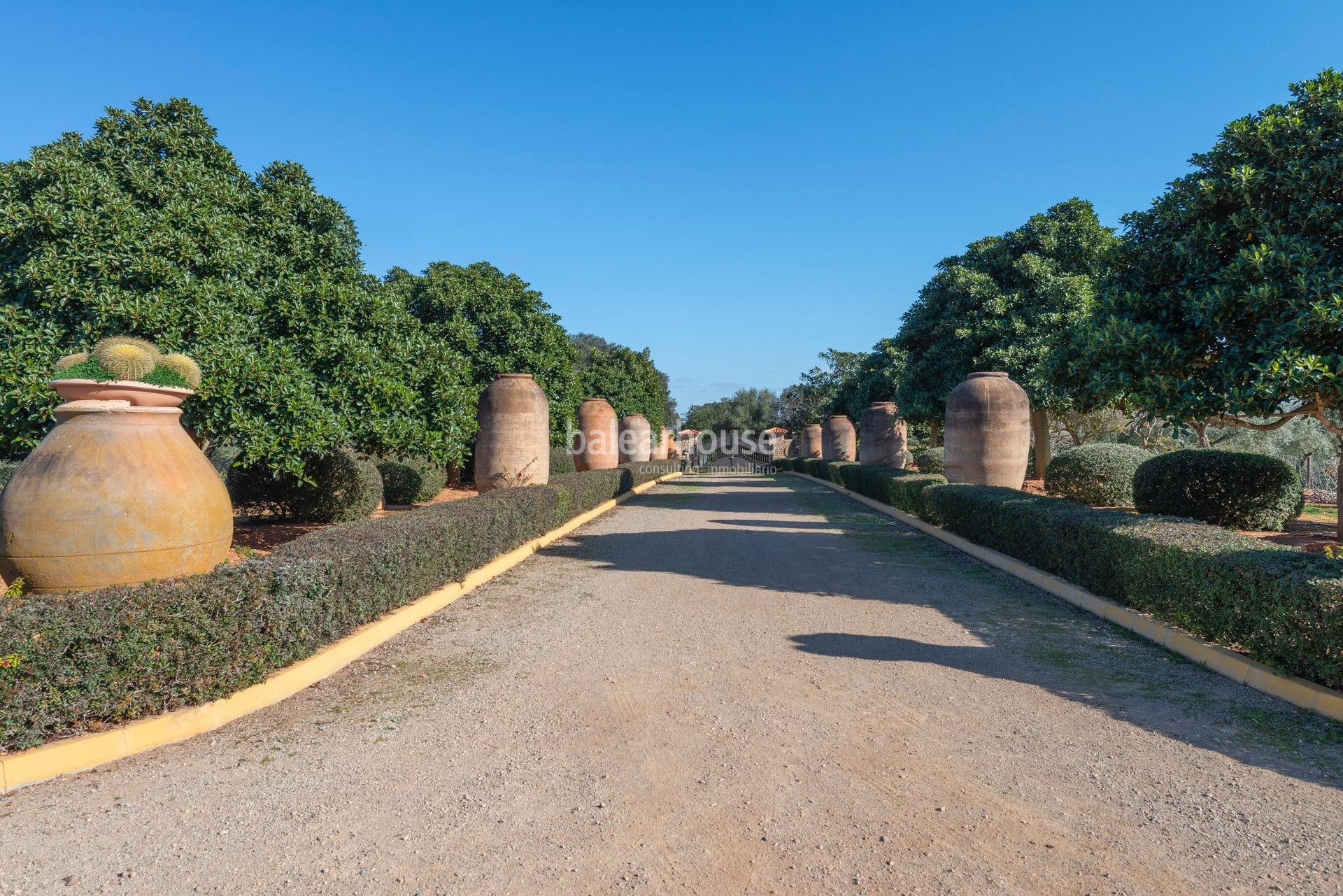 Excepcional finca rústica en Sencelles con un gran terreno y cultivo propio de aceite de oliva