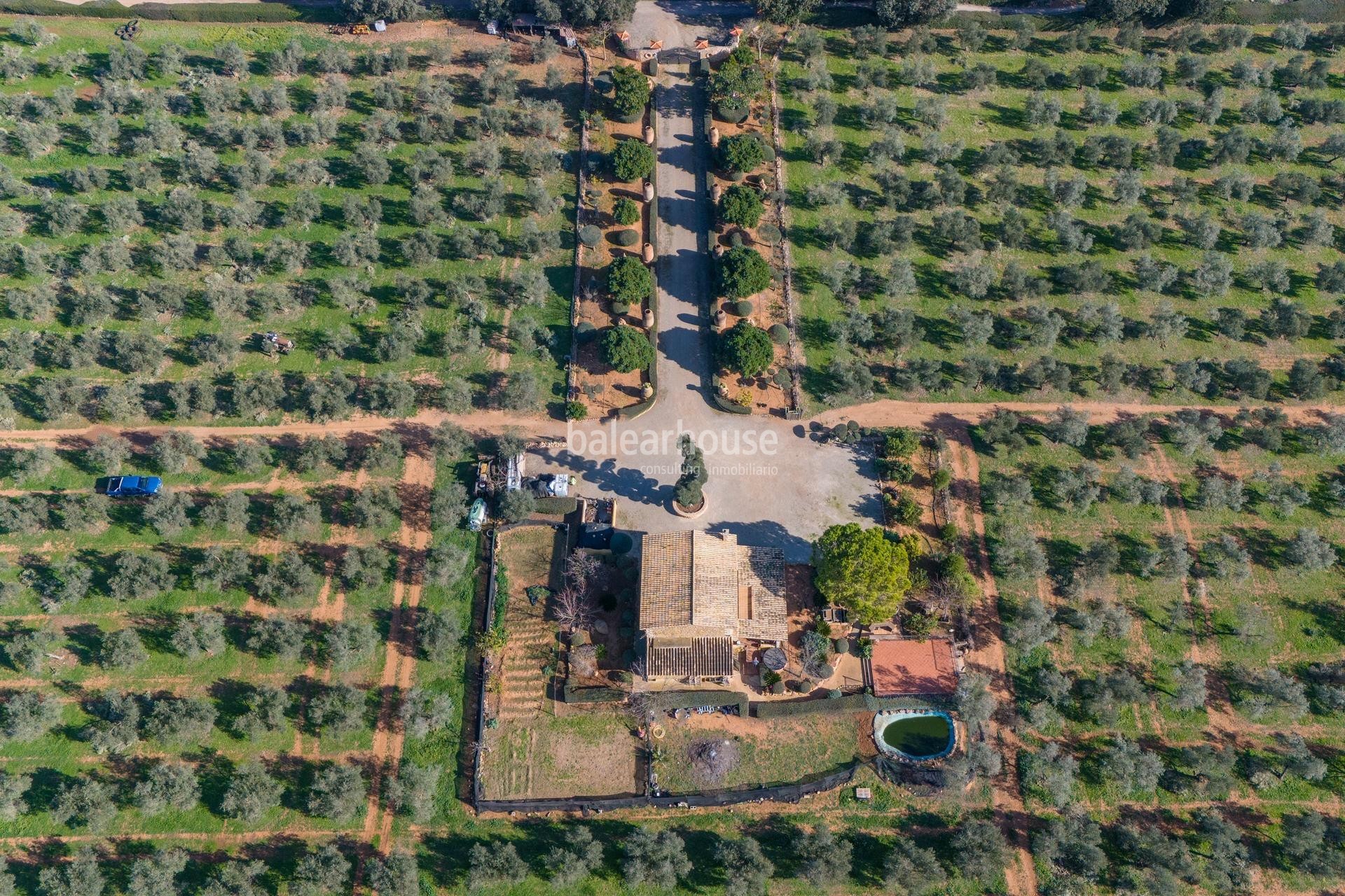 Excepcional finca rústica en Sencelles con un gran terreno y cultivo propio de aceite de oliva