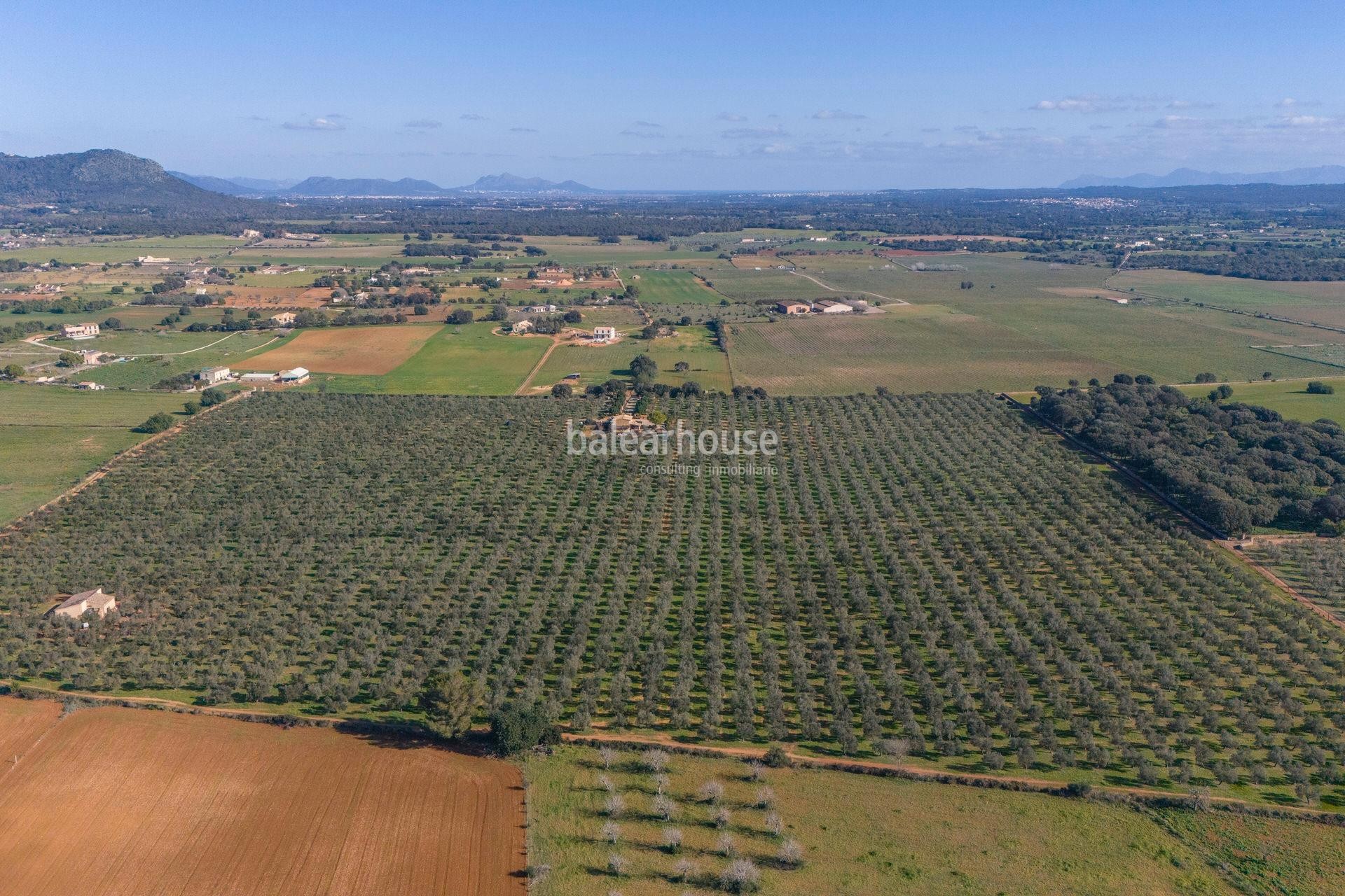 Excepcional finca rústica en Sencelles con un gran terreno y cultivo propio de aceite de oliva