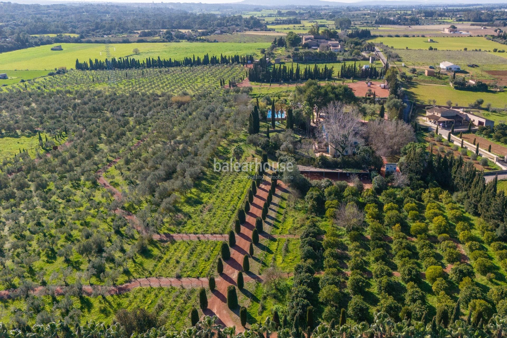 Unique investment opportunity in Mallorca with this spectacular agritourism in Sencelles